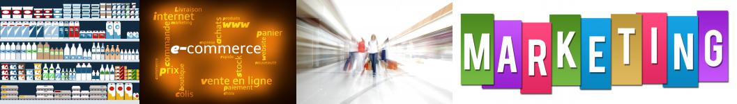 consultant e commerce grande distribution