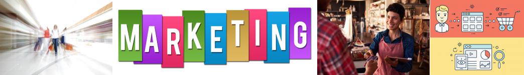 consultant marketing ventes