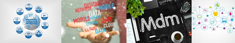 image AMOA product information management